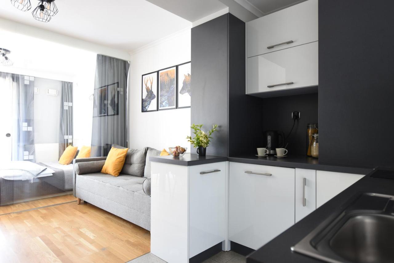 Apartament Przemily - Studio Teczowe Wzgorze Wisła Εξωτερικό φωτογραφία